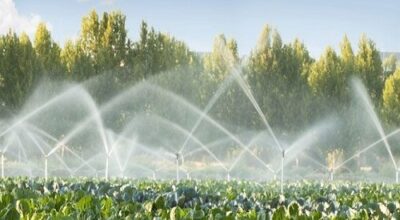 Convocazione Conferenza dei Servizi decisoria semplificata per approvazione progetto esecutivo di completamento delle opere irrigue in Valtiberina dello schema di distribuzione dall’invaso di Montedoglio