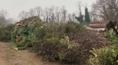 AVVISO PUBBLICO PER LA VENDITA DI LEGNA DI CONIFERE IN TRONCHI E CIPPATO DERIVANTE DALLA LAVORAZIONE DELLA RAMAGLIA PROVENIENTE DA TAGLIO IN ECONOMIA CHE QUESTO ENTE EFFETTUERÀ NEL COMPLESSO DEMANIALE ALTO TEVE MONTI ROGNOSI